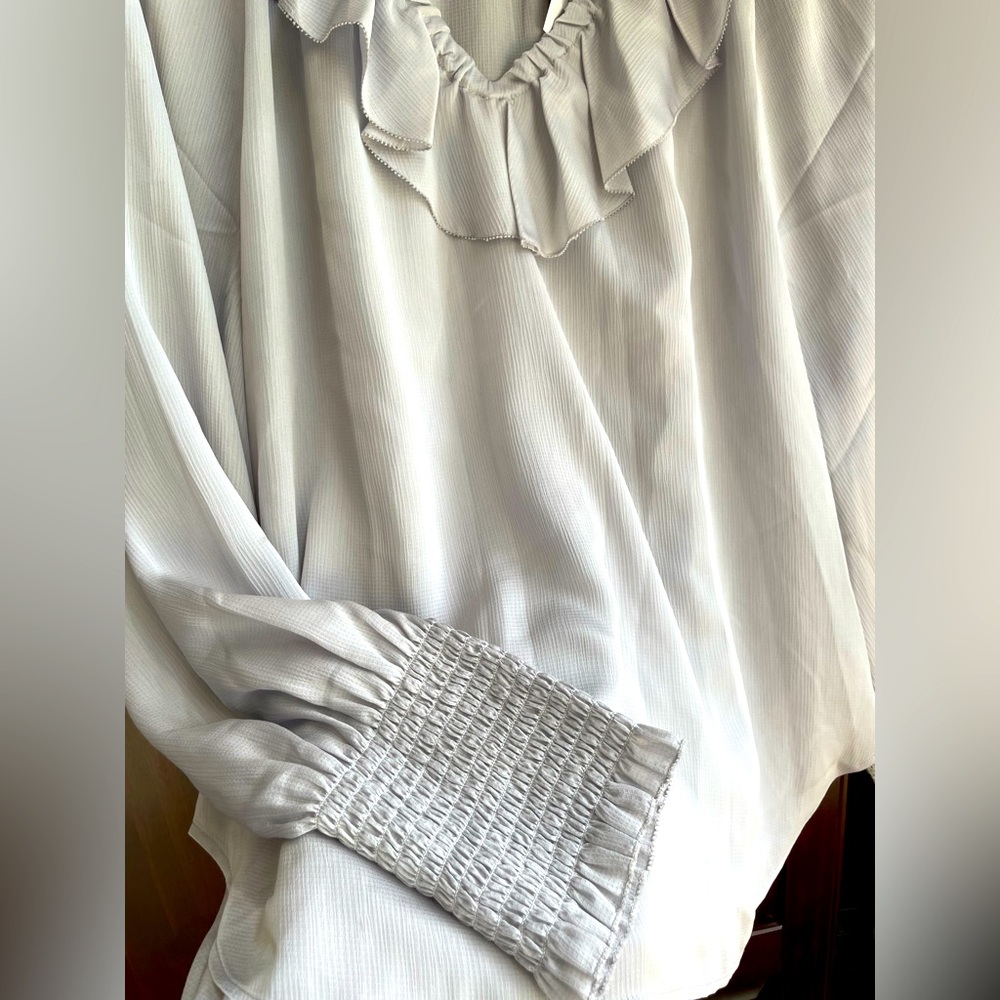 Ann Taylor silk feel blouse. Silver color. Ruffle around v-neck. Brand new. XL